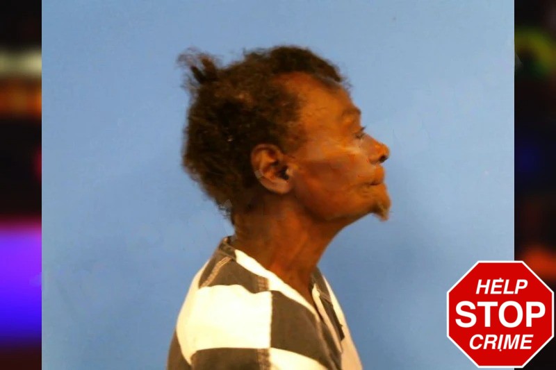 Sheila Gordon Mugshots