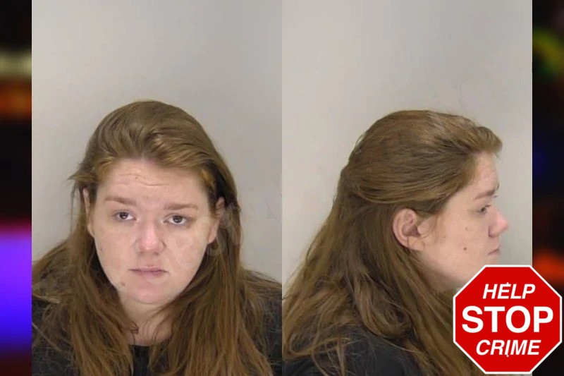 Shelby Bello mugshot