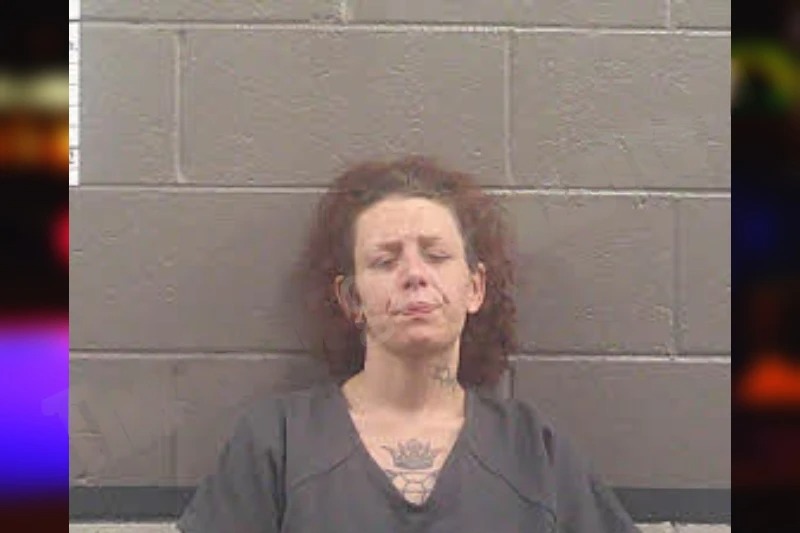 Shelby Landon Mugshots