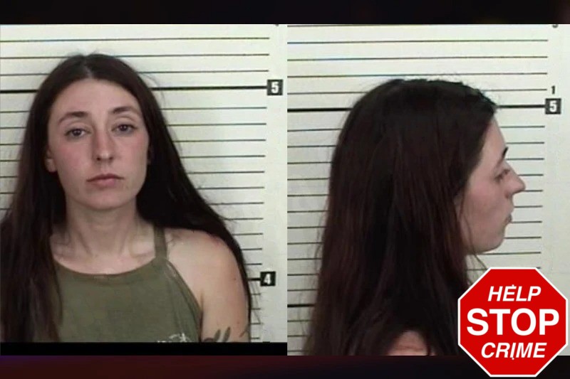 Shelby Whitley Mugshots