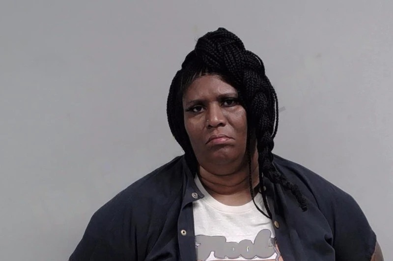 Sheree James Mugshots