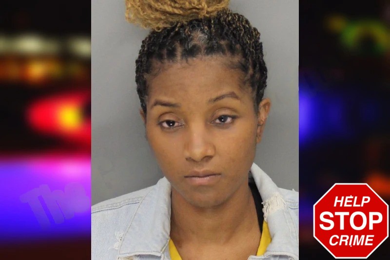 Sheri Wright mugshot – Cobb County , Georgia Sheri Wright mugshot