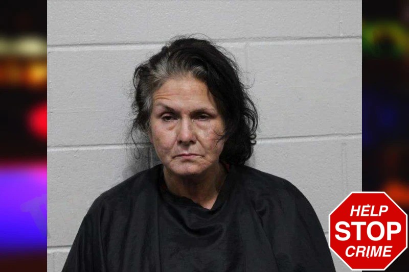 Sherrie Sims Mugshots