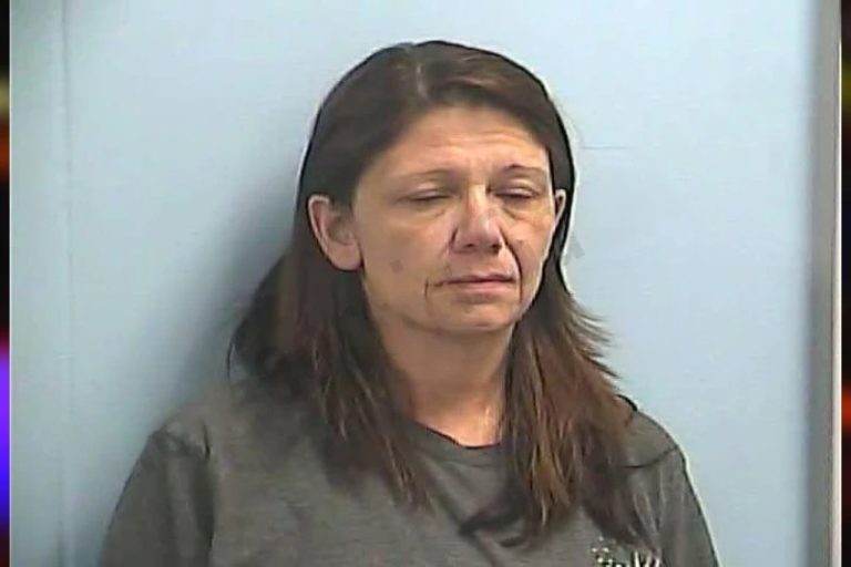 Sherry Lowery mugshot – Dawson County , Georgia Sherry Lowery