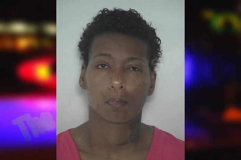 Shikitta Carter mugshot – Fayette County , Georgia Shikitta Carter mugshot