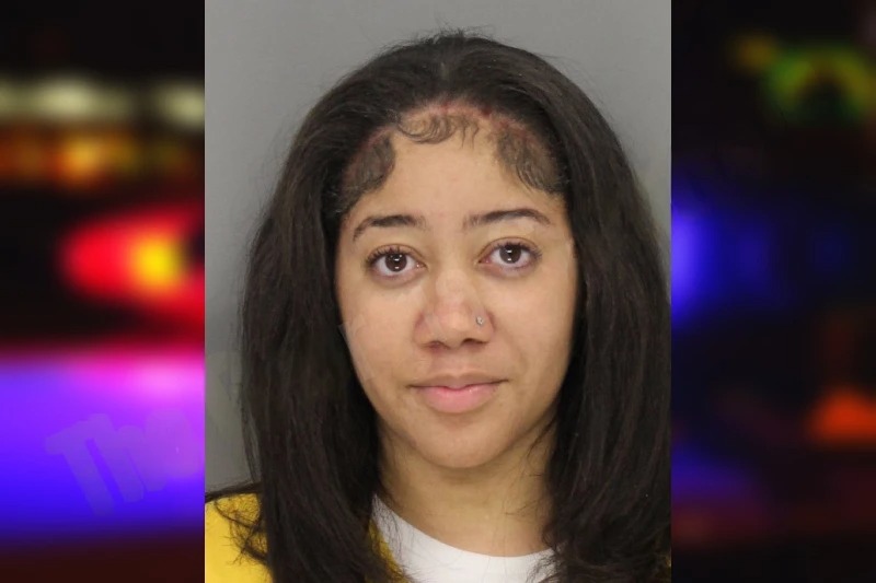 Shinya Ross Mugshots