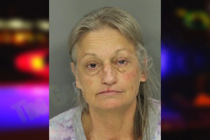 Shirley Davis Mugshots
