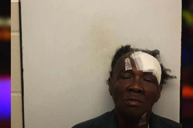 Shirley Maynor Mugshots