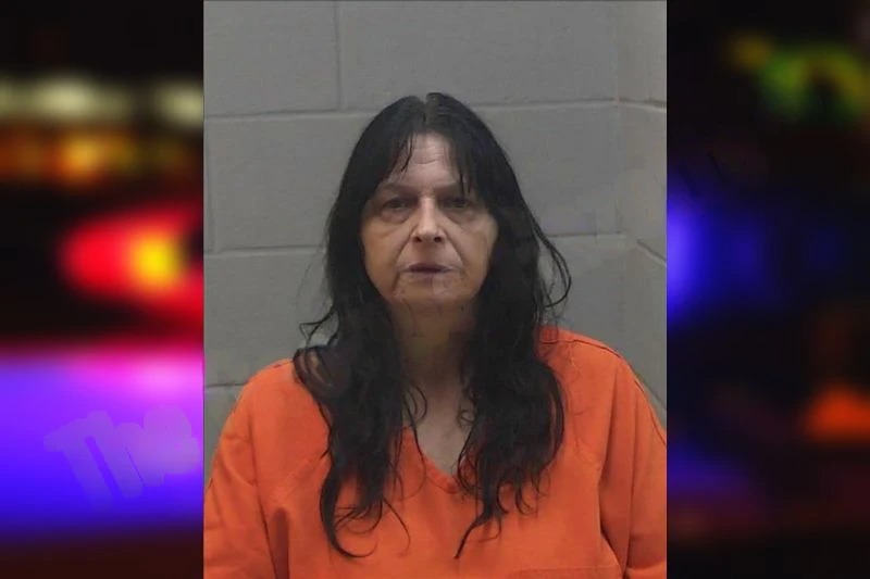 Shirley Norman Mugshots