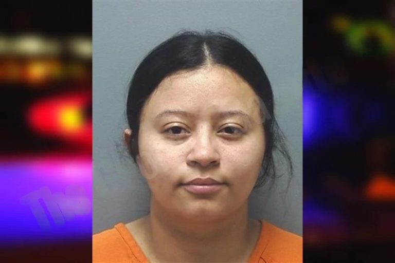 Shirlying Benites Torres mugshot – Cherokee County , Georgia Shirlying Benites Torres
