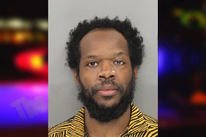 Skai Johnson mugshot