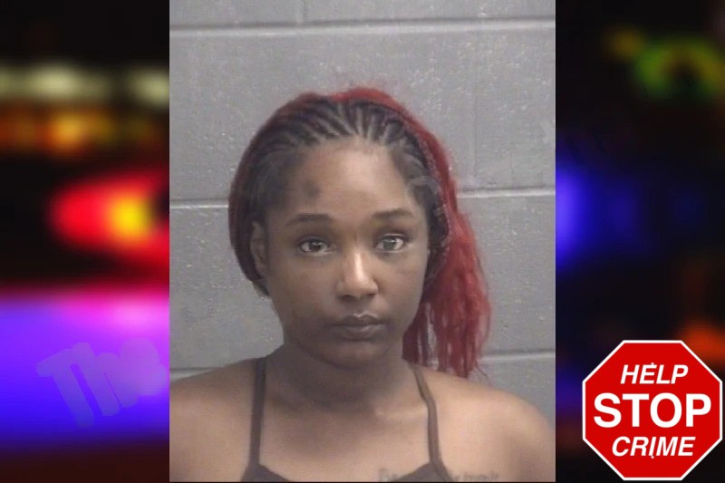 Skye Hudson Mugshots