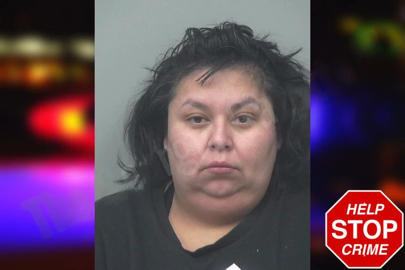 Sonia Herrera-Perez mugshot