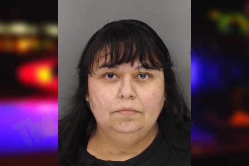 Sonia Herrera mugshot – Cobb County , Georgia Sonia Herrera mugshot