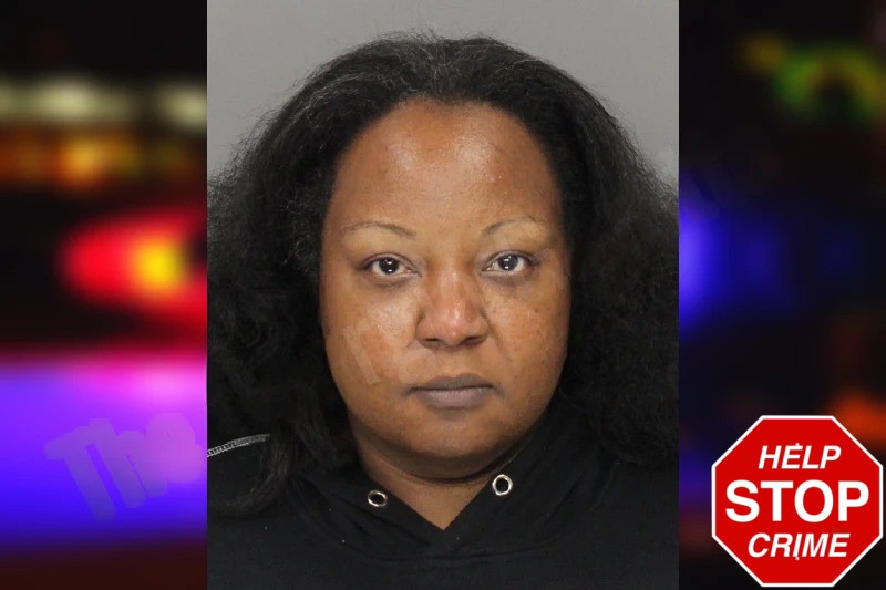 Sophia Henry Mugshots