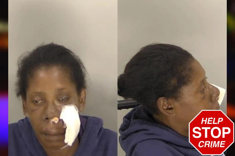 Sophia Kitchens Mugshots