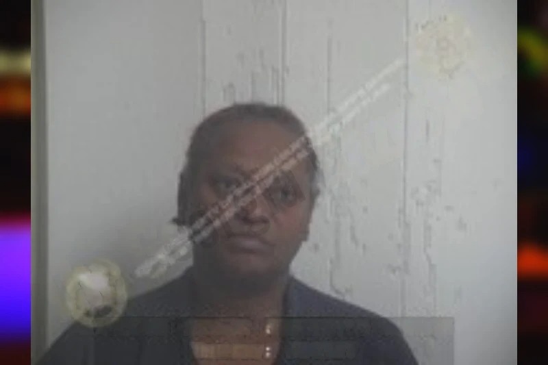 Sophia Steward Mugshots