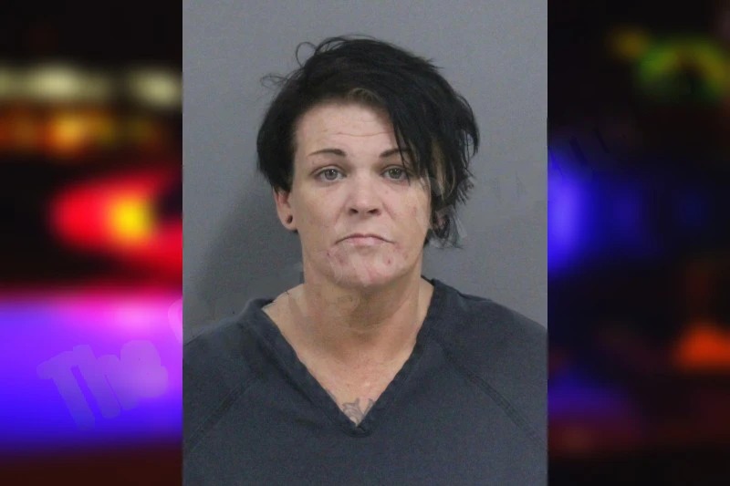 Stacie Lewis Mugshots