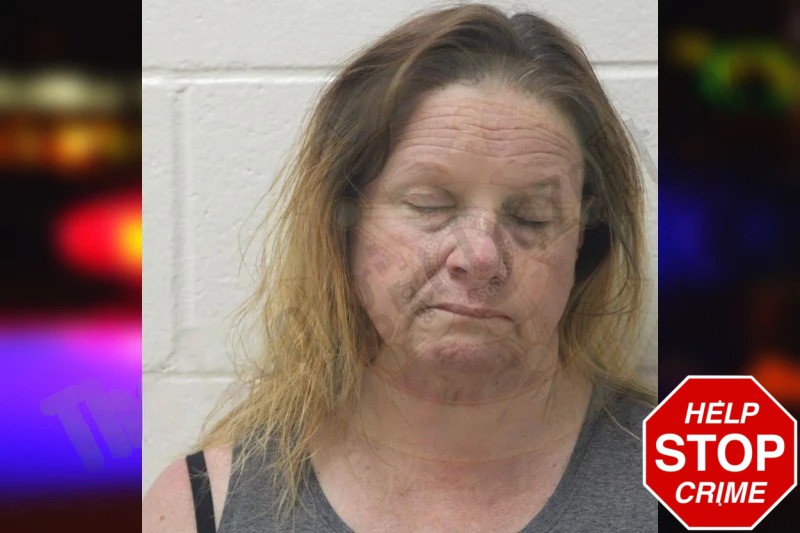 Stacie Taylor Mugshots