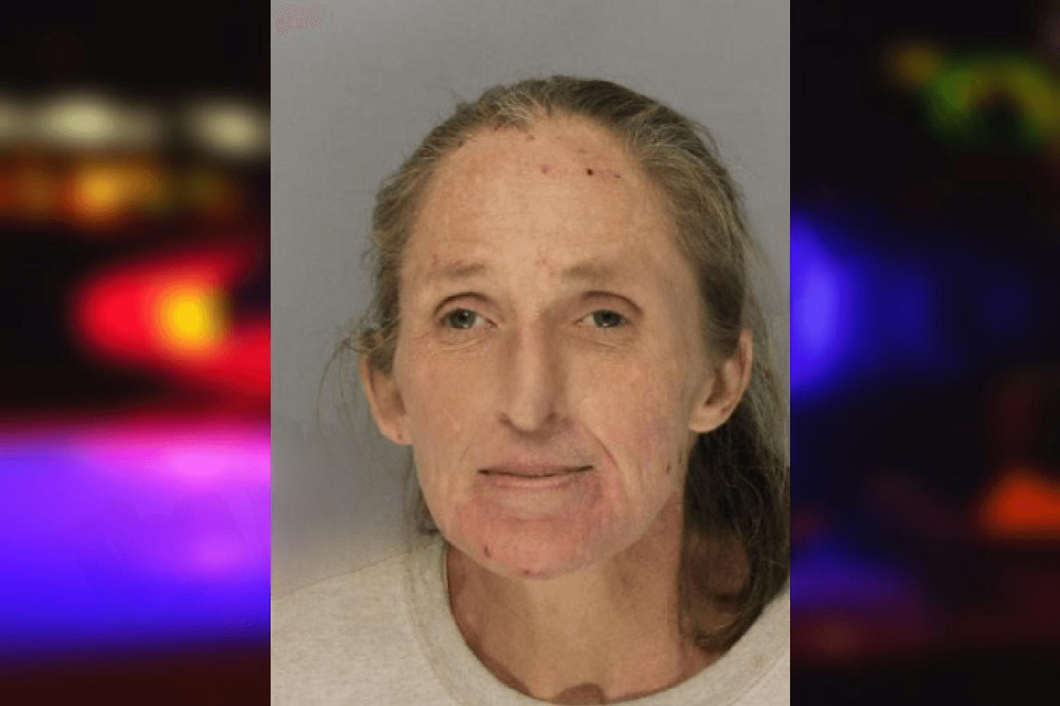 Stefanie Purcell Mugshots