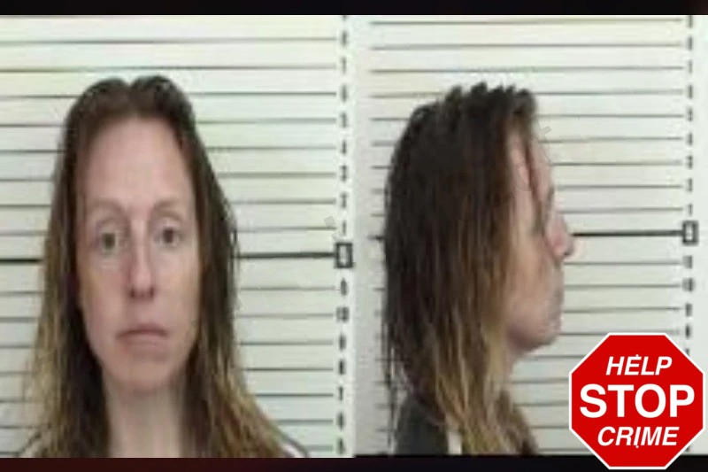 Stephanie Brazell Mugshots