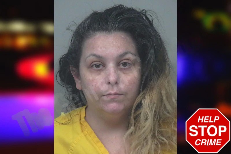 Stephanie Incarnato Mugshots