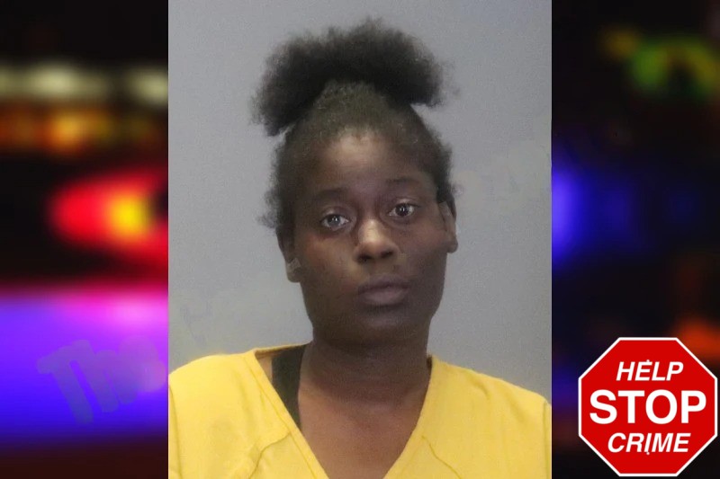 Stephanie Johnson mugshot