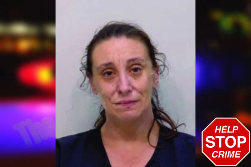 Stephanie Perryman mugshot – Bartow County , Georgia Stephanie Perryman mugshot
