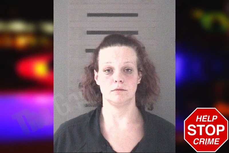 Stephanie Rasmussen Mugshots