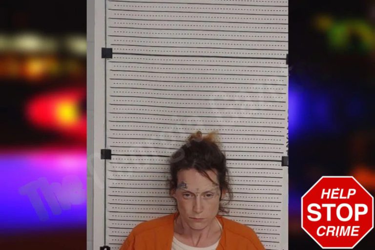 Stephanie Robinson mugshot – Rockdale County , Georgia Stephanie Robinson