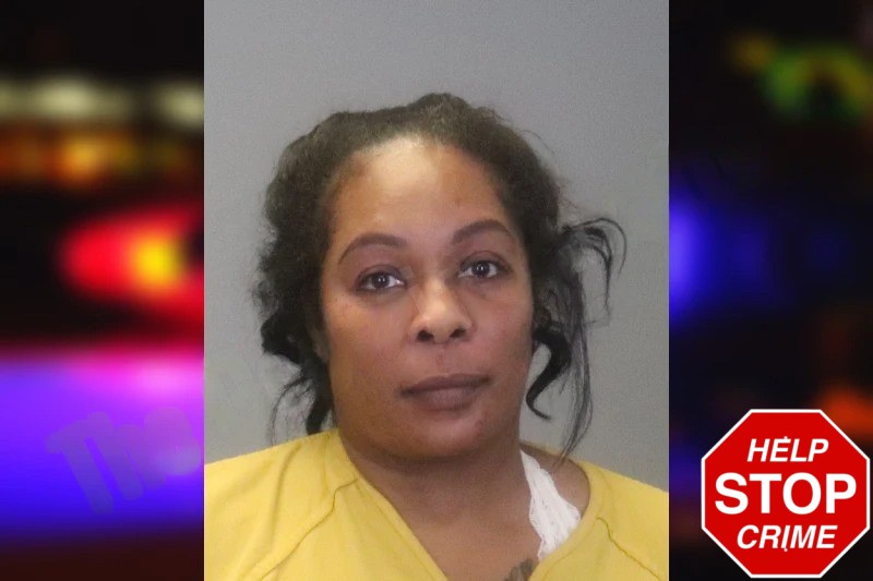 Stephanie Shorter Mugshots