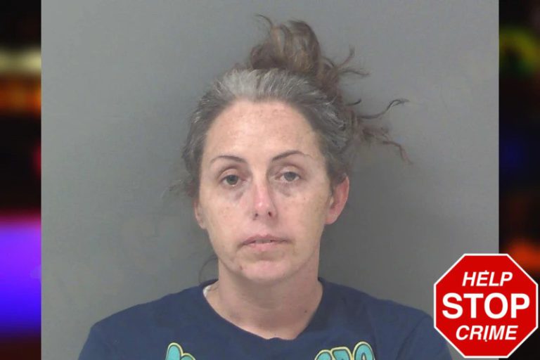 Stephanie Stephens mugshot – Douglas County , Georgia Stephanie Stephens