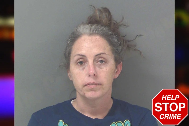 Stephanie Stephens mugshot – Douglas County , Georgia Stephanie Stephens mugshot