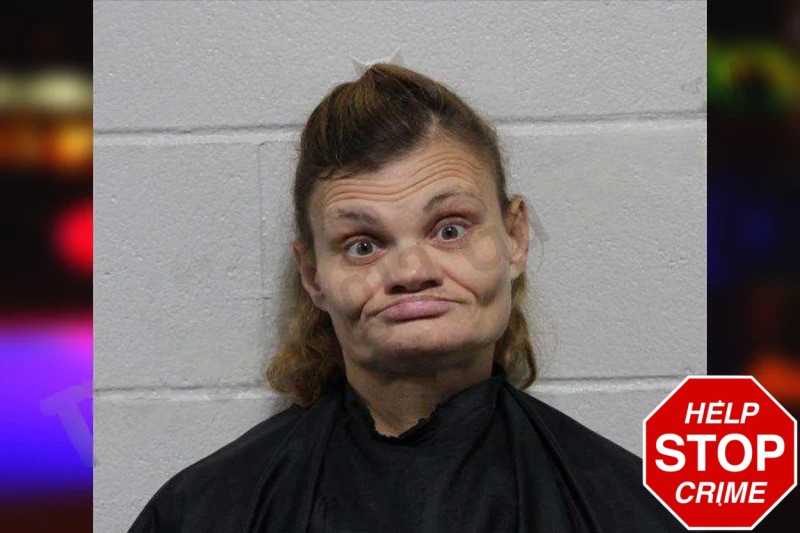 Stephanie Sweeting Mugshots