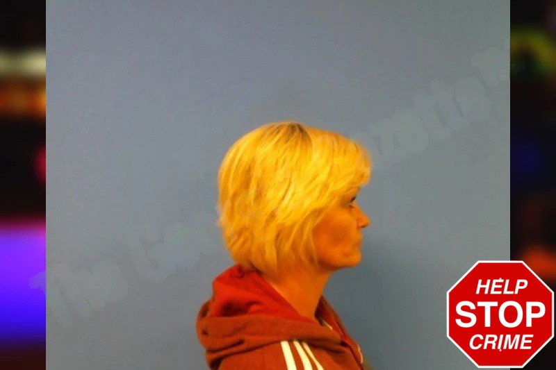 Stephanie Washington Mugshots