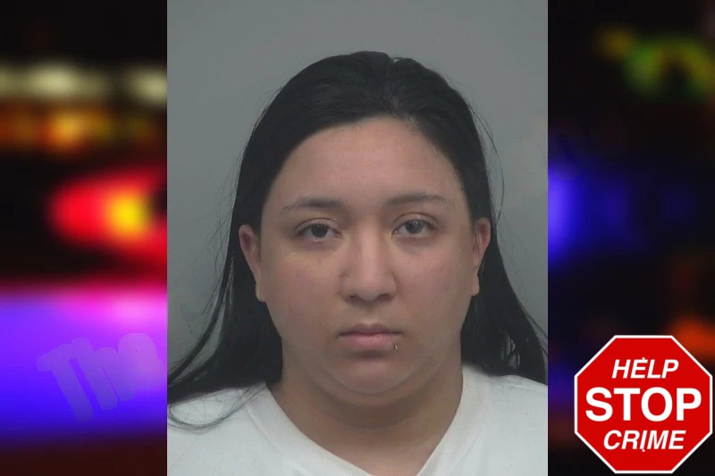 Sthefany Lopez Villasmil Mugshots