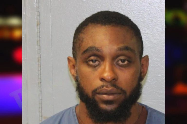 Straford Ngecha mugshot – Mcintosh County , Georgia Straford Ngecha