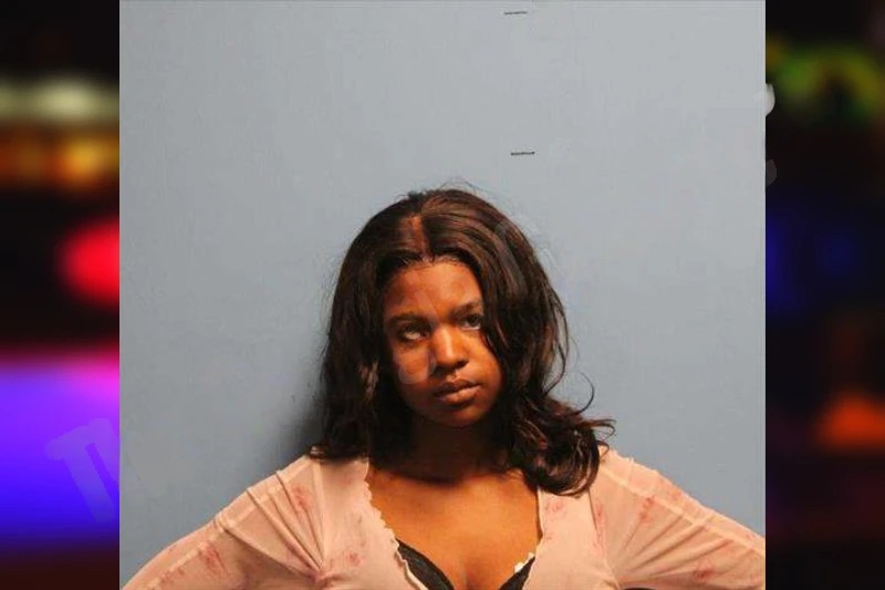 Suhaila Ash Mugshots