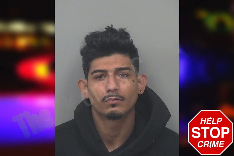 Sunny Adams mugshot – Gwinnett County , Georgia Sunny Adams mugshot