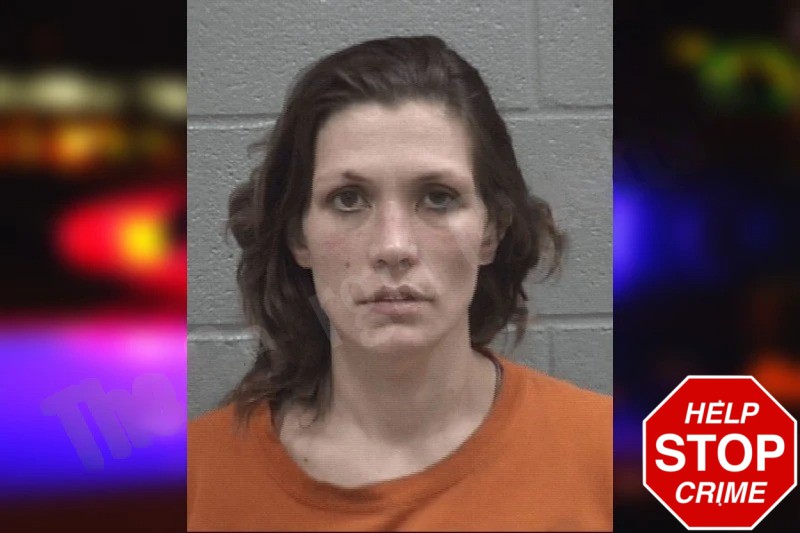 Susan Alligood Mugshots