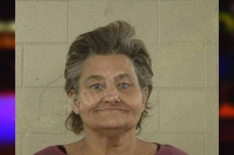 Susan Johns Mugshots