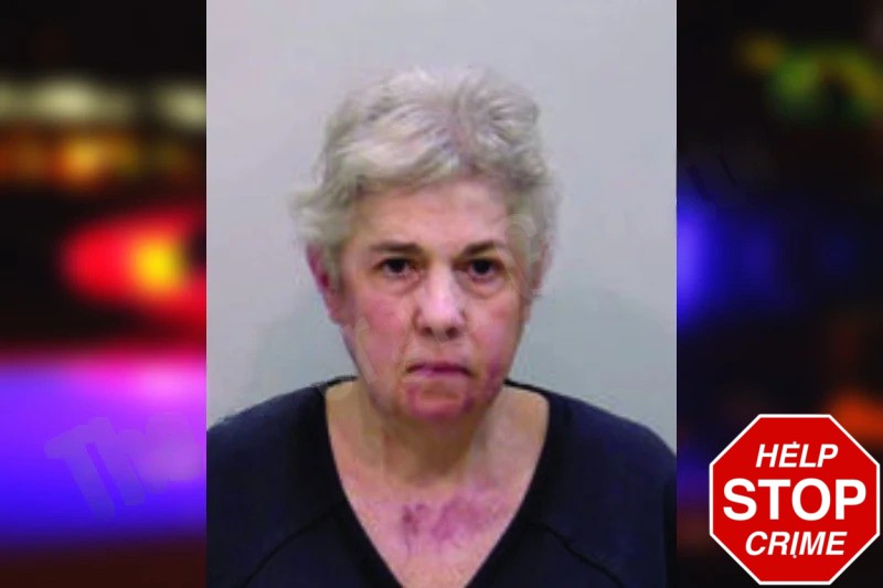 Susan Linsey Mugshots