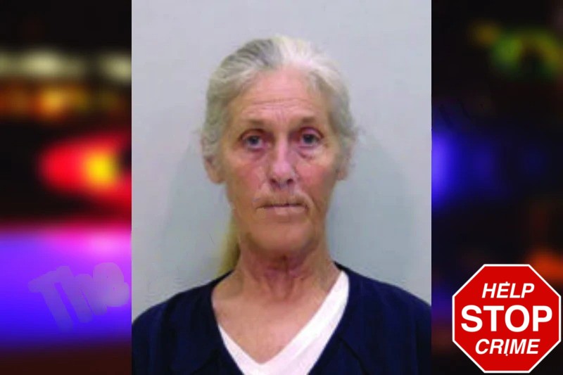 Susan Michaud Mugshots