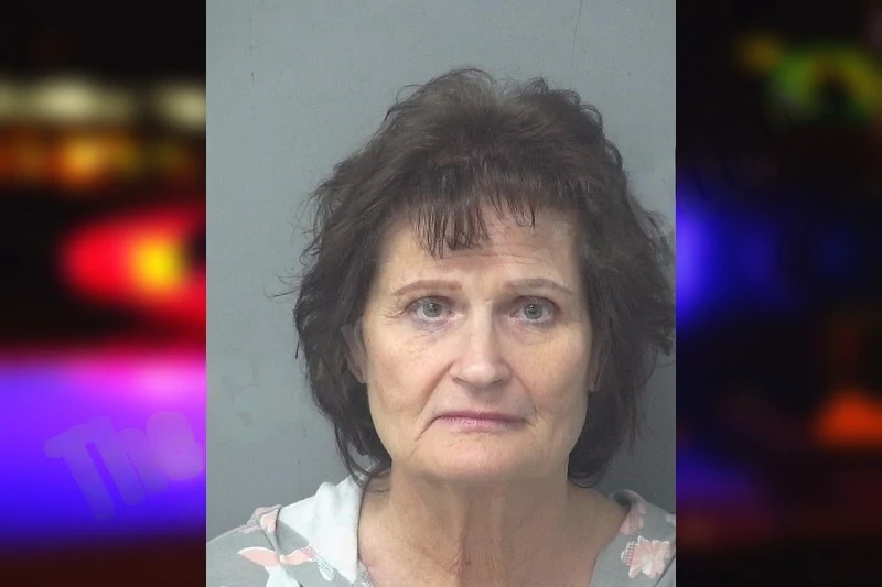 Susan Parsons Mugshots