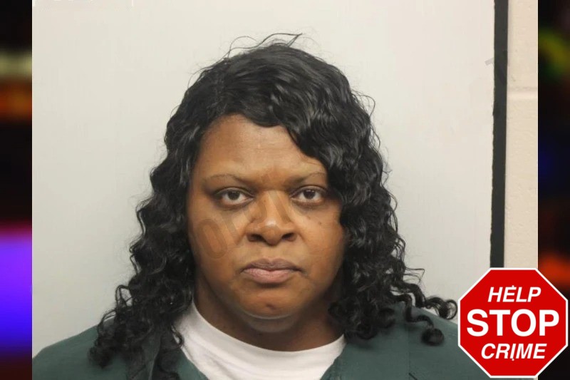 Susie Shipman Mugshots