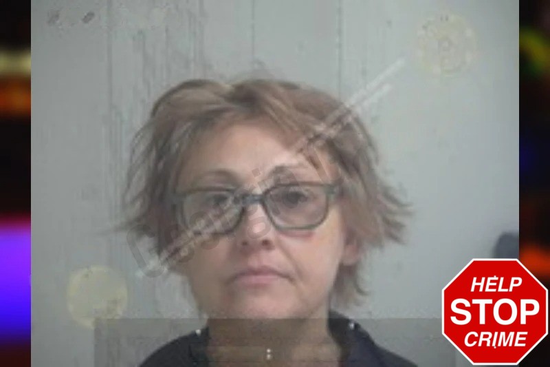 Suzanne Barnes Mugshots