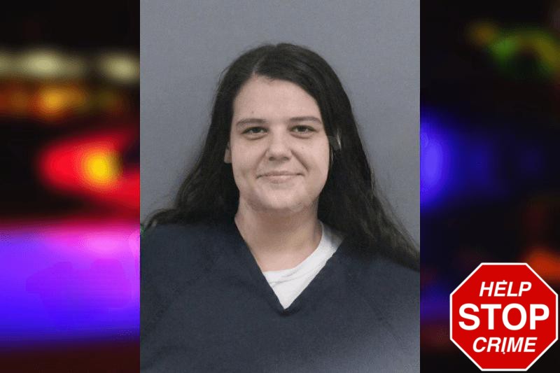 Suzanne Ramey Mugshots