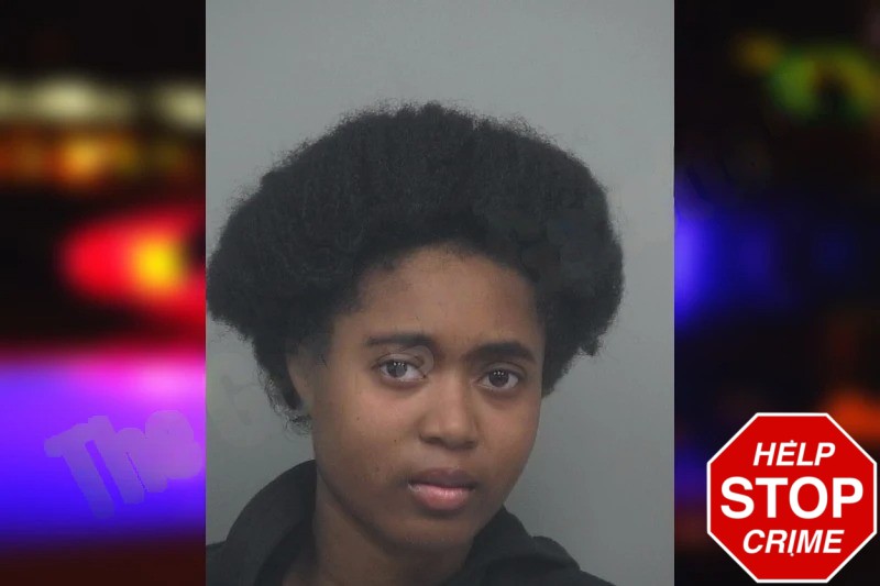 Sydney Johnson Mugshots