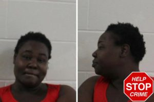 Sylvia Fowler mugshot