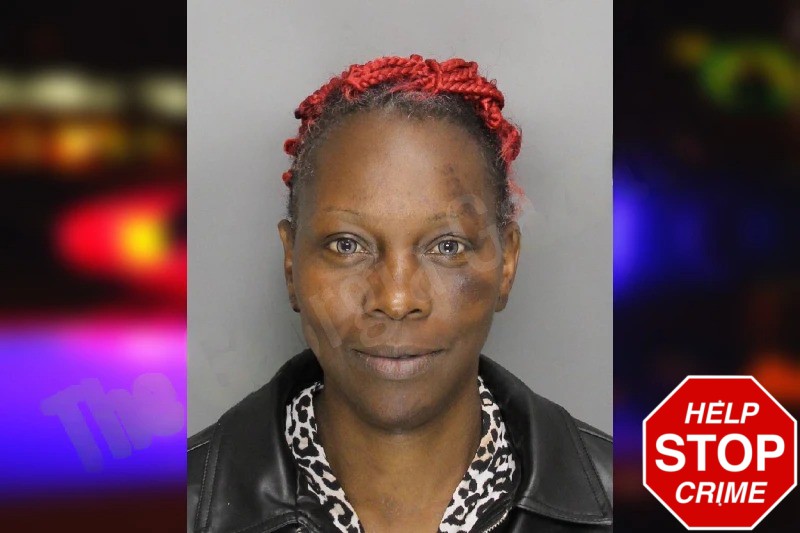 Tabitha Andrews mugshot – Cobb County , Georgia Tabitha Andrews mugshot